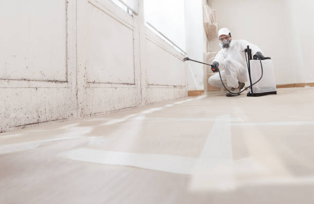 24/7 Emergency Commercial Mold Remediation experts in Belvidere, NJ